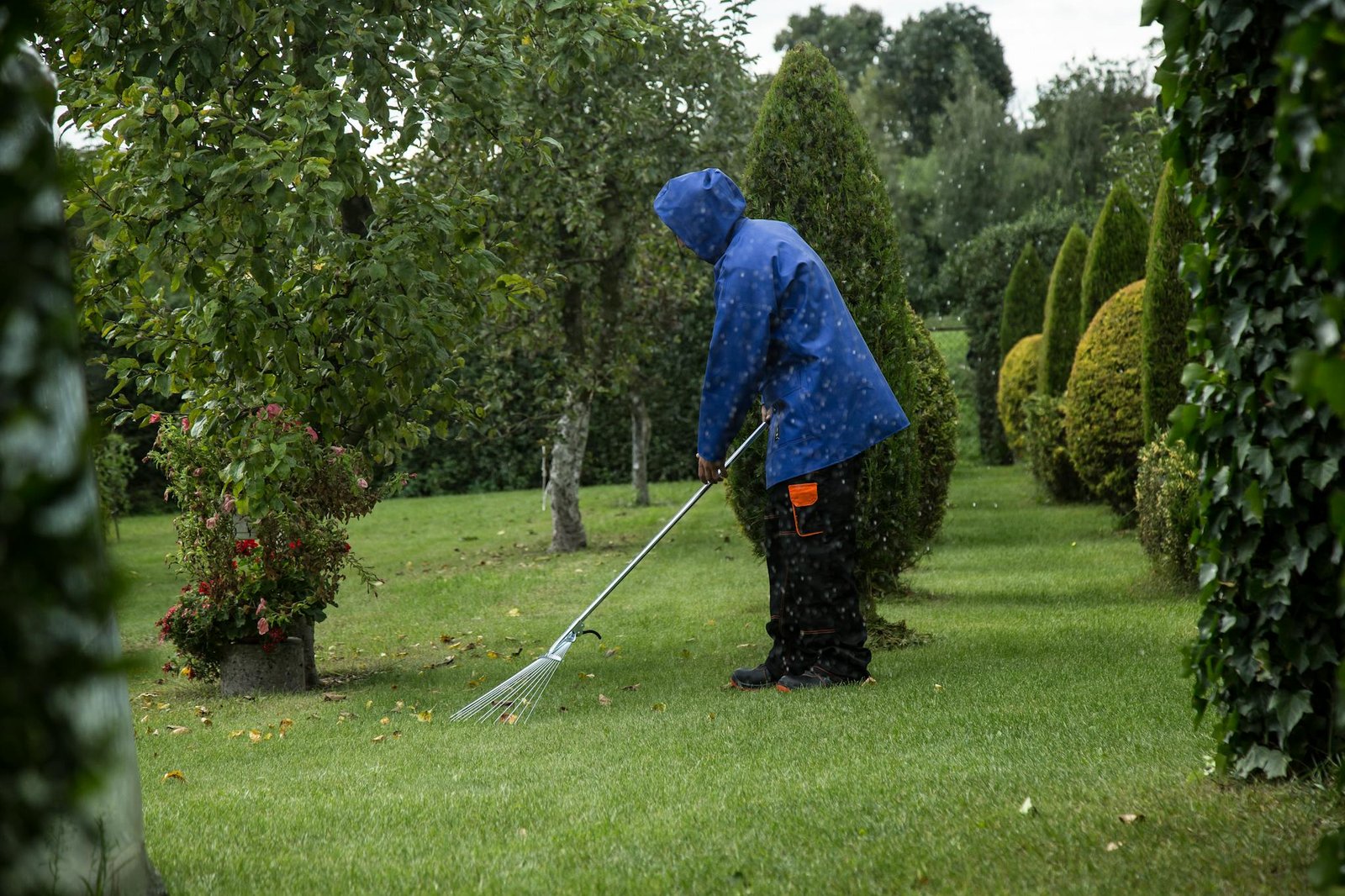 A gardener in a blue rain jacket rakes leaves in a lush green park during a light drizzle.