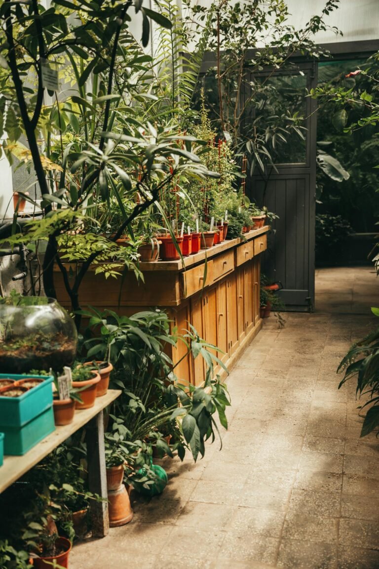 A vibrant greenhouse filled with diverse potted plants and lush greenery.
